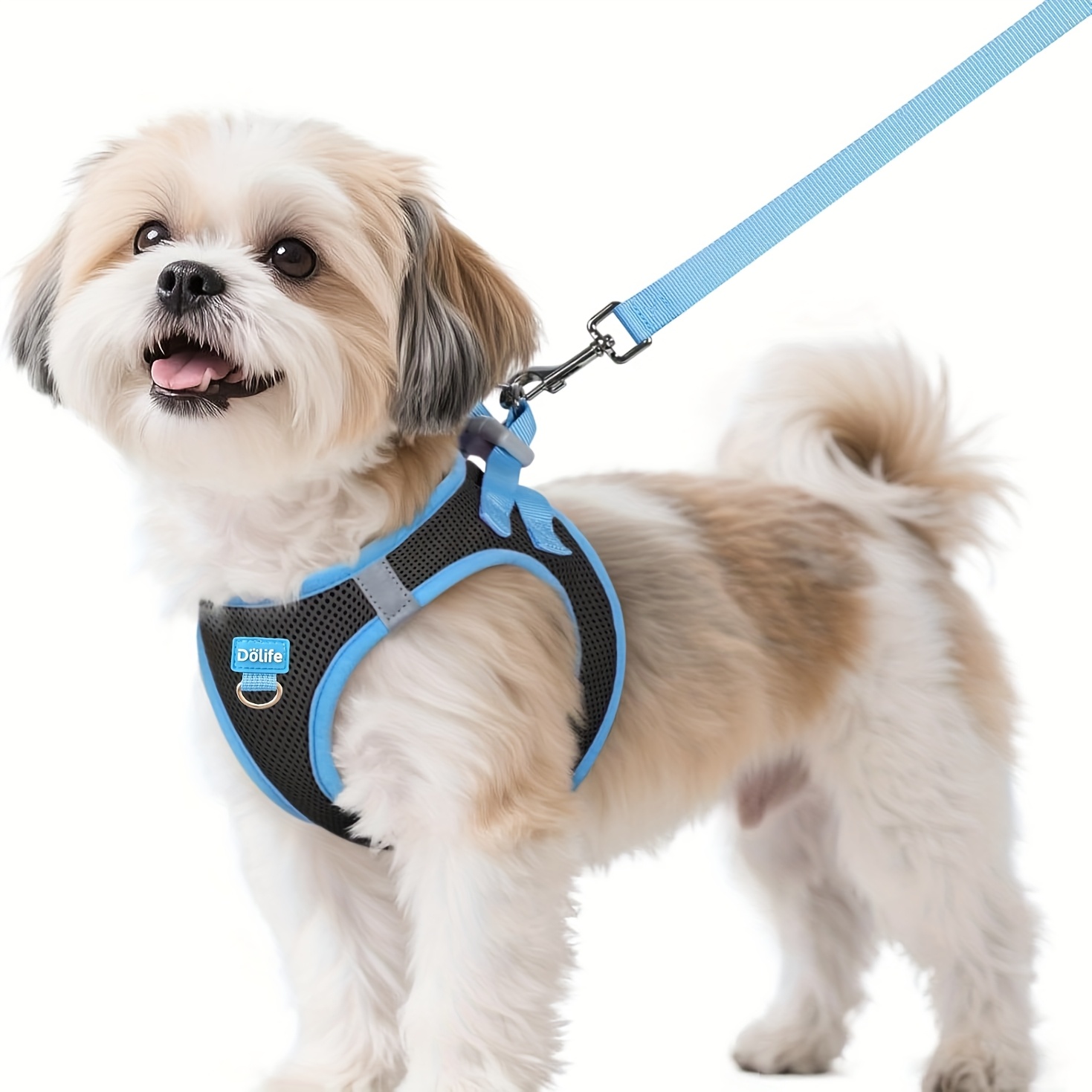 Set Pettorina e Guinzaglio per Cani, Pettorina Morbida…