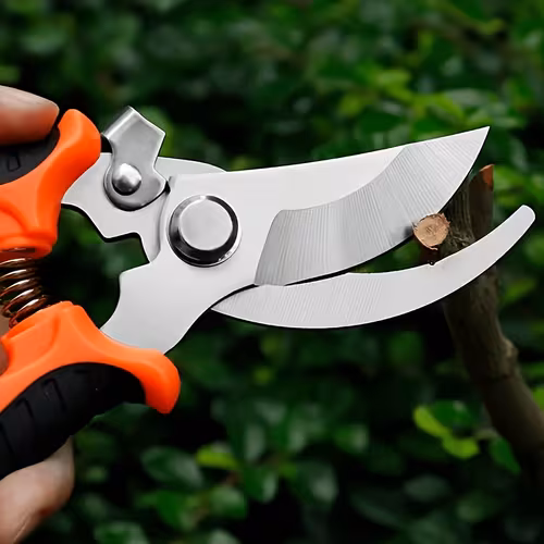 1 pz Cesoie da potatura professionali per giardinaggio pesanti…
